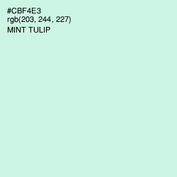 #CBF4E3 - Mint Tulip Color Image
